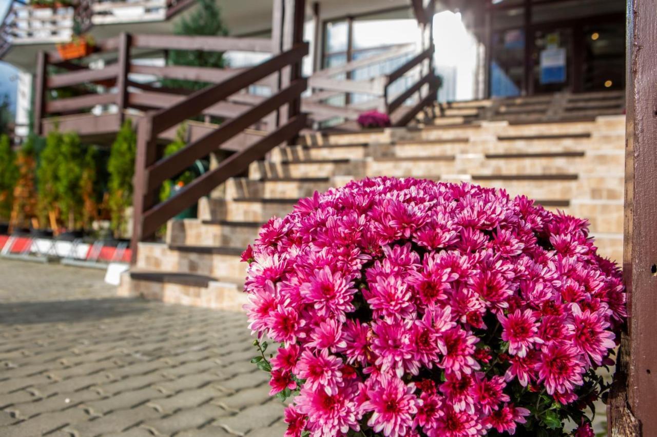 Hotel La Dolce Vita Zarnesti Ngoại thất bức ảnh